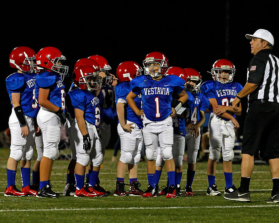 Vestavia Hills 4