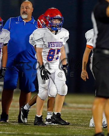 Vestavia Hills 6th Blue