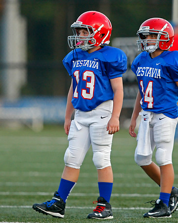 Vestavia Hills 4