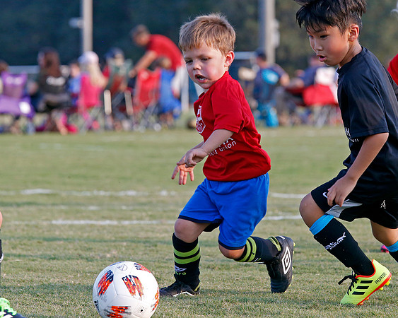AHSAAFB: Green County at Carbon Hill