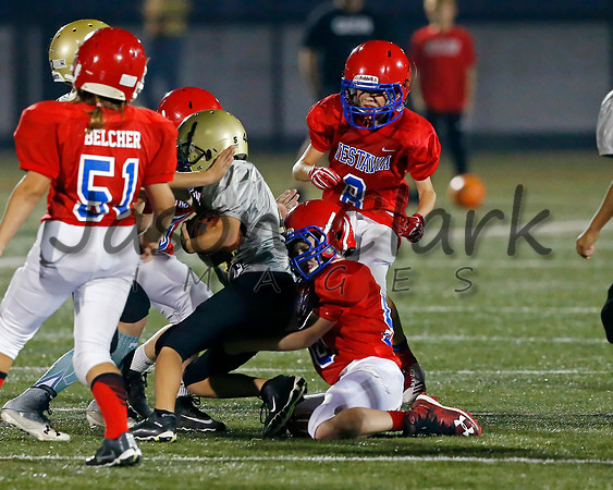 Vestavia Hills 6th Red