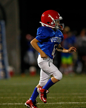 Vestavia Hills 4