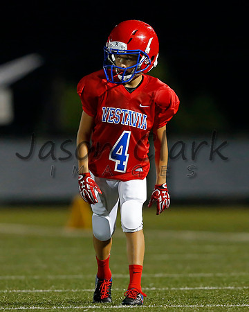 Vestavia Hills 6th Red