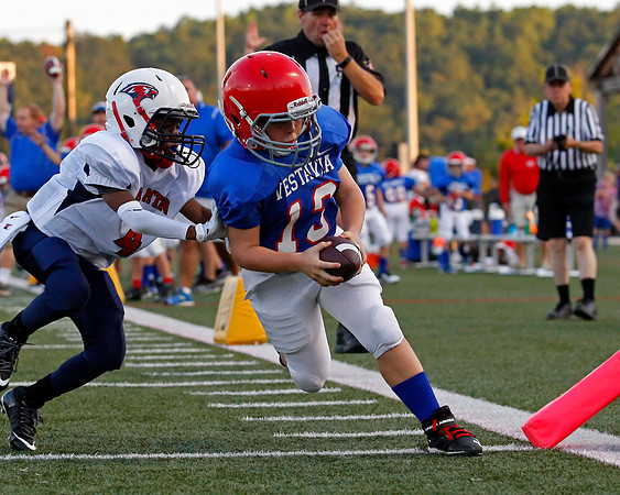 Vestavia Hills 4