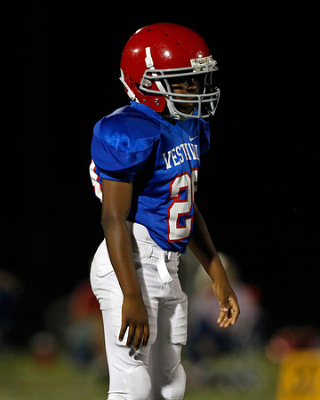 Vestavia Hills 4
