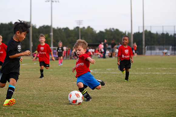 AHSAAFB: Green County at Carbon Hill