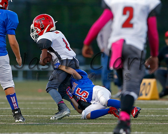 Vestavia Hills 4th Grade