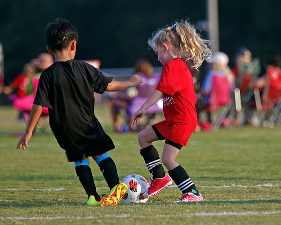 AHSAAFB: Green County at Carbon Hill