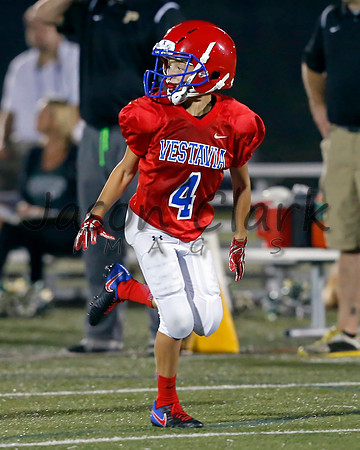 Vestavia Hills 6th Red