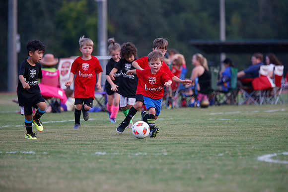 AHSAAFB: Green County at Carbon Hill