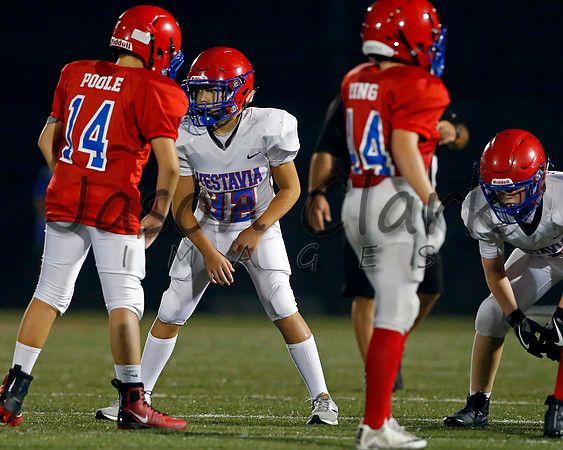 Vestavia Hills 6th Blue