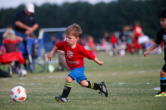 AHSAAFB: Green County at Carbon Hill