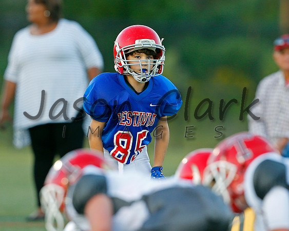 Vestavia Hills 4th Grade