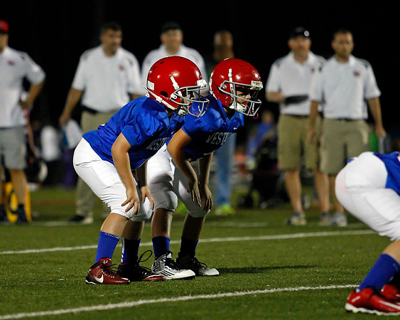 Vestavia Hills 4