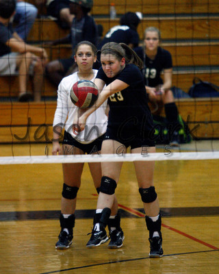 Walker Volleyball