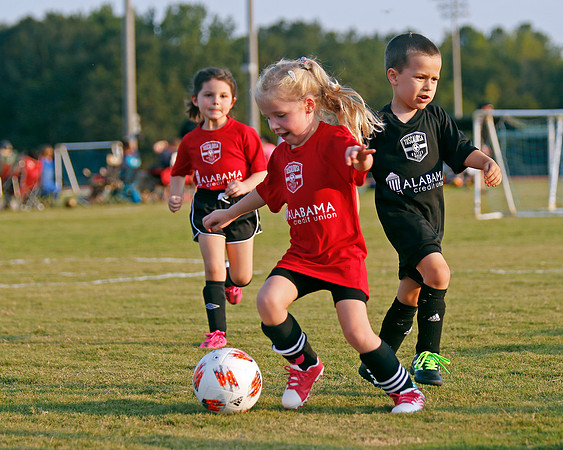 AHSAAFB: Green County at Carbon Hill
