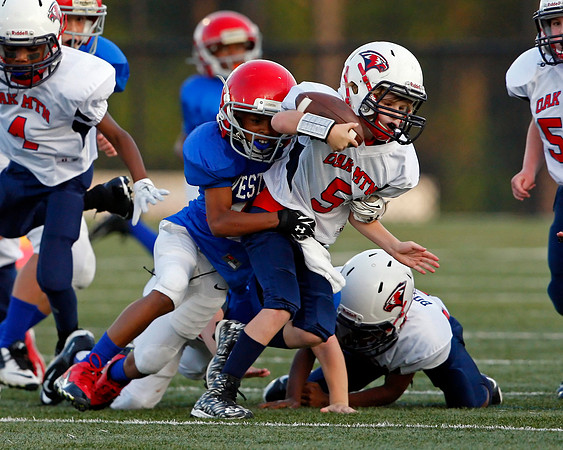 Vestavia Hills 4