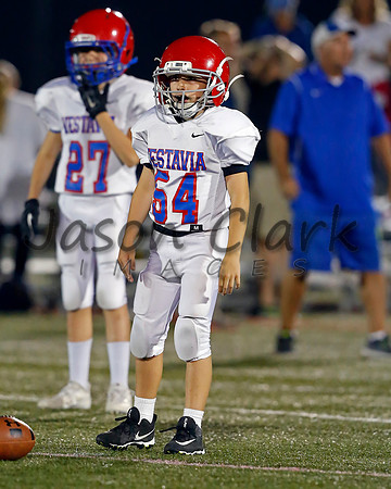 Vestavia Hills 6th Blue