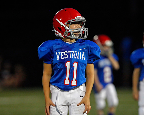 Vestavia Hills 4