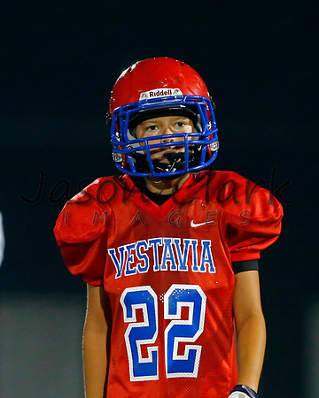 Vestavia Hills 6th Red