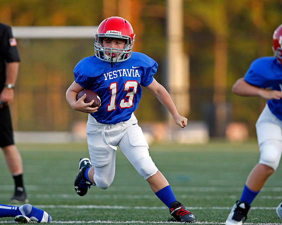 Vestavia Hills 4