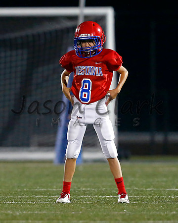 Vestavia Hills 6th Red