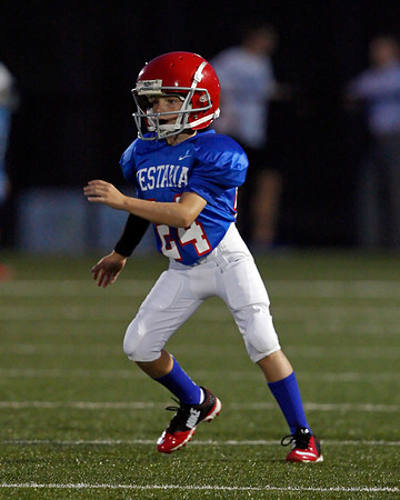 Vestavia Hills 4
