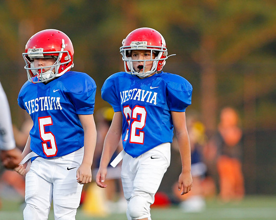 Vestavia Hills 4