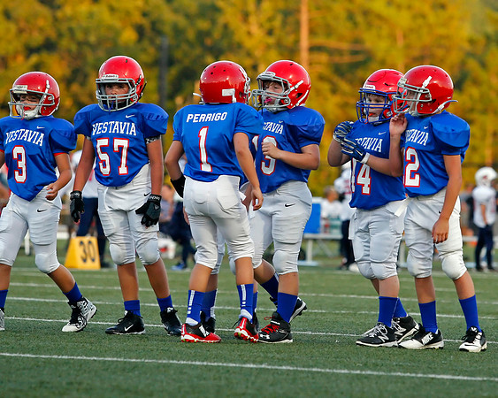 Vestavia Hills 4