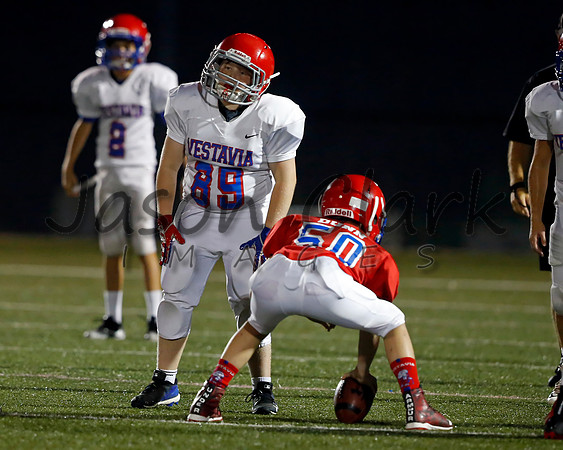 Vestavia Hills 6th Blue