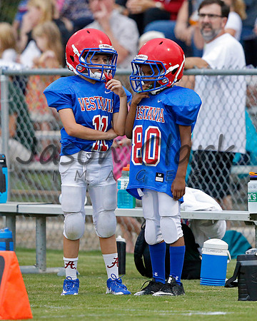 Vestavia Hills 3rd