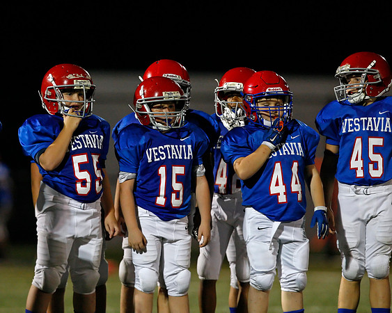 Vestavia Hills 4