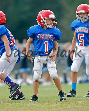 Vestavia Hills 3rd