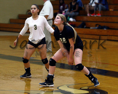 Walker Volleyball