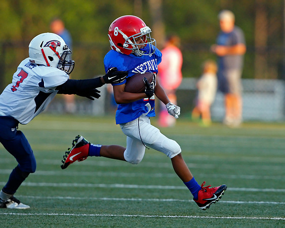 Vestavia Hills 4