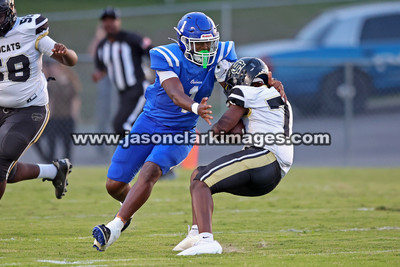 AHSAA: Hale County at Oakman