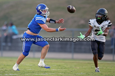 AHSAA: Hale County at Oakman