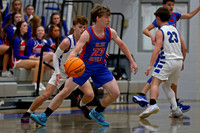 AHSAA: 2025 Walker County Basketball Tournament Championship