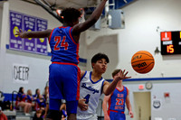 AHSAA: 2025 Walker County Basketball Tournament Championship