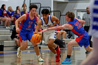 AHSAA: 2025 Walker County Basketball Tournament Championship