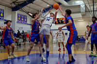AHSAA: 2025 Walker County Basketball Tournament Championship
