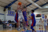 AHSAA: 2025 Walker County Basketball Tournament Championship