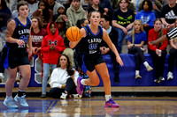 AHSAA: 2025 Walker County Basketball Tournament Championship