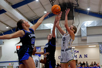 AHSAA: 2025 Walker County Basketball Tournament Championship