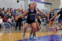 AHSAA: 2025 Walker County Basketball Tournament Championship