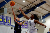 AHSAA: 2025 Walker County Basketball Tournament Championship