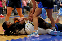 AHSAA: 2025 Walker County Basketball Tournament Championship