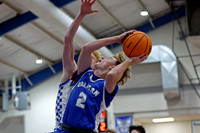 AHSAA: 2025 Walker County Basketball Tournament Championship