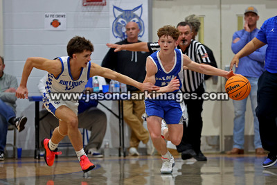 AHSAA: 2025 Walker County Basketball Tournament Championship
