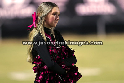AHSAA: Brilliant at Lynn